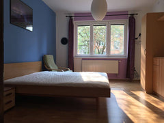 Get inspired and close to the hipster side of the east Prague filled with local   Comfy greenery in Prague Private room in rental unit vacation rental 51419503