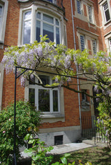 Dans un quartier calme et recherché, assez proche du centre de Bruxelles, vous d Forest, Belgium Jolie suite dans maison de charme Private room in home vacation rental 11032296