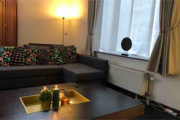 Joli rez-de-chaussée au cœur d’ixelles, quartier plein de charme qui vous permet Brussels, Belgium Cosi Rez-de-chaussée au cœur d’ixelles Entire rental unit vacation rental 30460995