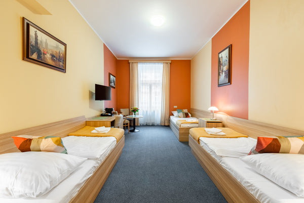 Triple room with twin beds and extra bed, equipped with air conditioning, privat  Family FOUR-BEDDED room - 4 people! Room in hotel vacation rental 50838093