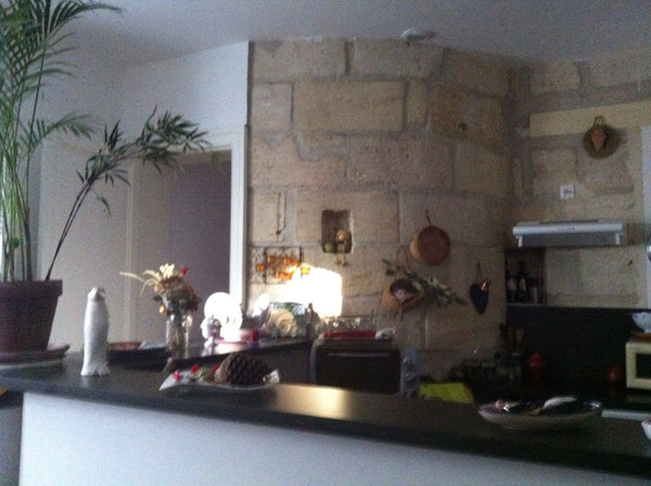 Bel appartement  chaleureux, douillet et calme aux pierres apparentes, situé en  Bordeaux, France Appartement au cœur de Bordeaux Entire rental unit vacation rental 6610993