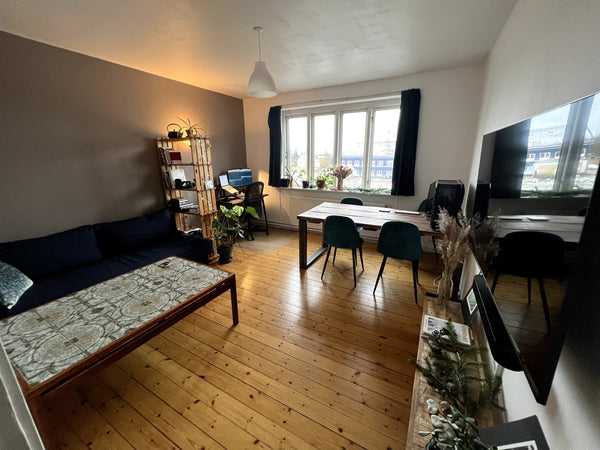 10 minutes away from the beach, 20 minutes away from the centre of Copenhagen. T Copenhagen, Denmark Cozy 1-bedroom apartment in quiet neighbourhood Entire condo vacation rental 52952895