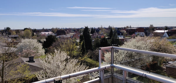 Stor lejlighed med 3 soveværelser, 2 stuer og altan med flot udsigt og sol hele  Copenhagen, Denmark 5 værelses lejlighed med fantastisk udsigt Entire rental unit vacation rental 49228775