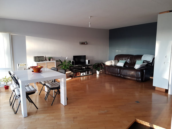 Appartement spacieux situé au Bouscat (limitrophe Bordeaux), un grand balcon don  Appartement au vert Entire condo vacation rental 42640451