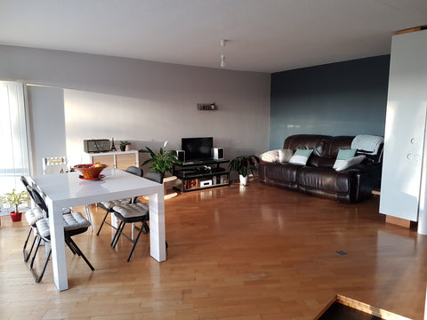 Appartement spacieux situé au Bouscat (limitrophe Bordeaux), un grand balcon don  Appartement au vert Entire condo vacation rental 42640451