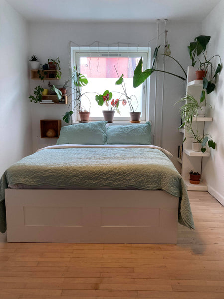 Warm and cozy apartment in the Copenhagen North-West area - a calm neighbourhood Copenhagen, Denmark Cozy apartment near Nørrebro with garden Entire rental unit vacation rental 51577790