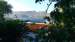 Il Canto delle Cicale is plunged in an olive grove on the hillside overlooking t  Il Canto delle Cicale - Room Ciuchino Room in bed and breakfast vacation rental 6396830