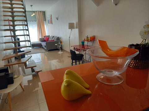 Nous prodiguons les gestes barrieres et nous desinfectons les lieux entre chaque  Joli duplex au coeur de l hyper centre Entire townhouse vacation rental 35418026