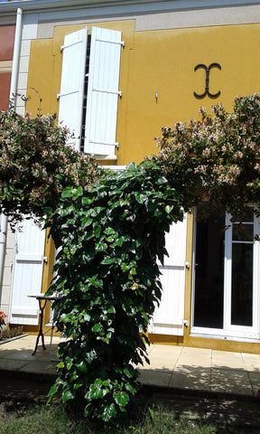 Maison calme située dans un quartier tranquille proche commerces et arrêt du tra Bruges, France Maison de ville cosy proche Bordeaux Entire townhouse vacation rental 20895656