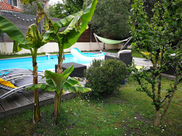 Vous recherchez pour vos vacances d’été à découvrir la métropole bordelaise tout Pessac, France Maison 4 chambres/8 pers Piscine  Bordeaux Pessac Entire home vacation rental 26045313