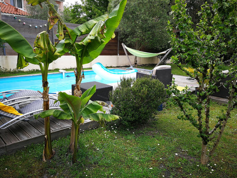 Vous recherchez pour vos vacances d’été à découvrir la métropole bordelaise tout Pessac, France Maison 4 chambres/8 pers Piscine  Bordeaux Pessac Entire home vacation rental 26045313