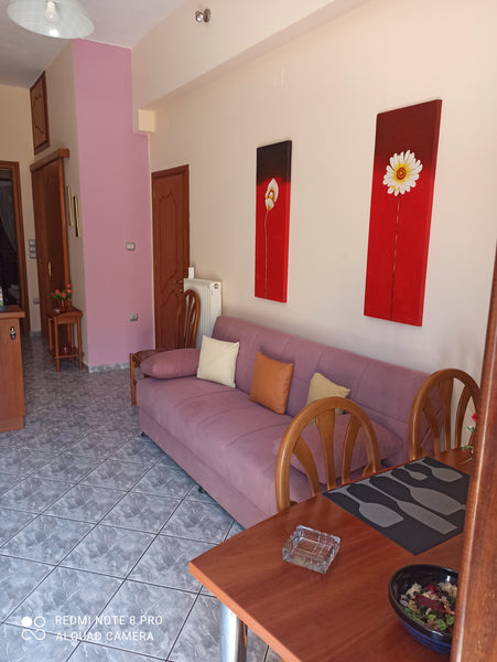 Διαμέρισμα ιδανικό για ζευγάρι, 5' λεπτά από το ιστορικό κέντρο της Ερμούπολης,   Ismini's cute house Entire rental unit vacation rental 26826473