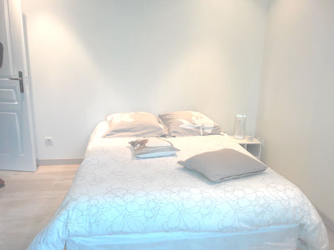 Chambre d environs 15m2 avec grand lit ,télé wifi et salle de bain avec douche.<  Chambre zen Private room in townhouse vacation rental 39772440