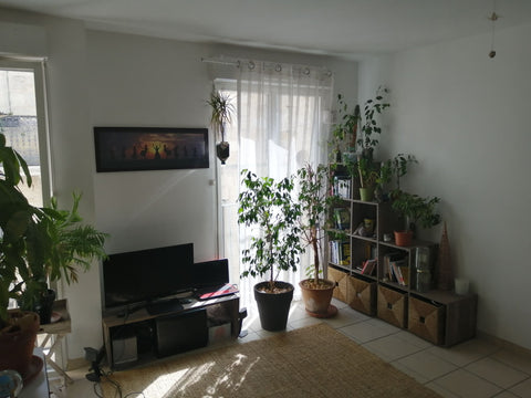 Ce logement de 70 m2 comprend un séjour, 2 chambres, 1 salle de bain et 2 WC<br  Bordeaux, France Appartement en plein cœur de Bordeaux au calme Entire condo vacation rental 692510419571614982