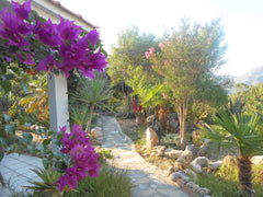 Guest house,designed with love,in a quiet area and in view of the South-Cretan c Asomatos, Greece Wildgarden - Guest House Entire rental unit vacation rental 13758304