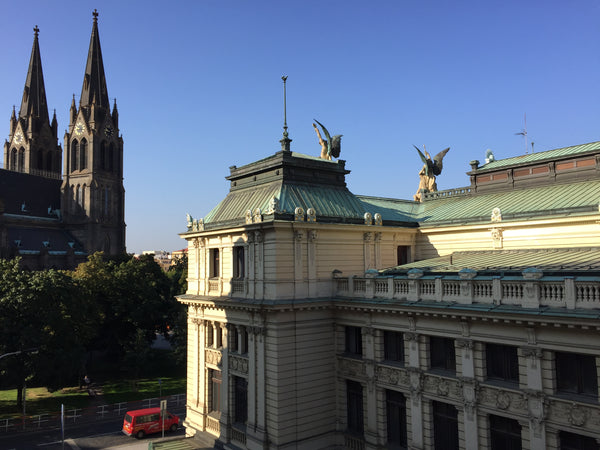 The flat is located in the beautiful area of Prague famous for stunning old hous Prague, Czechia Spacious and quiet room at Vinohrady Private room in rental unit vacation rental 15122120