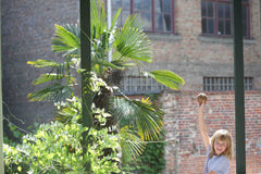Inspiring apartment in the heart of the fashionable and vivid Dansaert neighborh Brussels, Belgium Very spatious and light apartment with patio Entire rental unit vacation rental 31120922