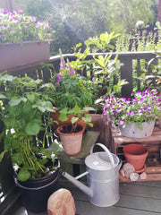 Charming newly renovated apartment in quiet area - 10 mins from city centre.<br  Copenhagen, Denmark Ideal for couple, ground floor, own terrace - Cph Entire rental unit vacation rental 21273227