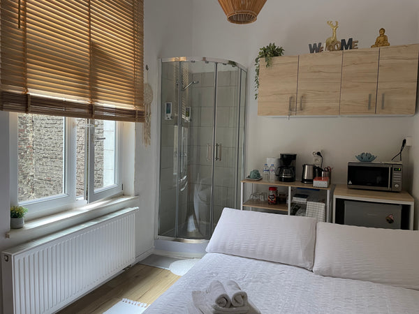 Petit studio chaleureux bien équipé à proximité de Sainte Catherine, Saint-Géry, Sanem, Luxembourg Les Appartements « LaLouve » « La Petite Louve » Entire rental unit vacation rental 19358474