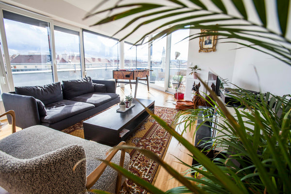 Hi we are Susi and Bene and live in Vienna for a long time now. We have a pretty Vienna, Austria New Roof Top Loft - Guest Room Private room in rental unit vacation rental 17578598