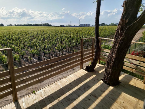 Dans un quartier calme, maison R+1 composée de 3 chambres, 2 salles de bain, un  Pessac, France Au cœur de Bordeaux face aux vignobles Entire home vacation rental 43955258