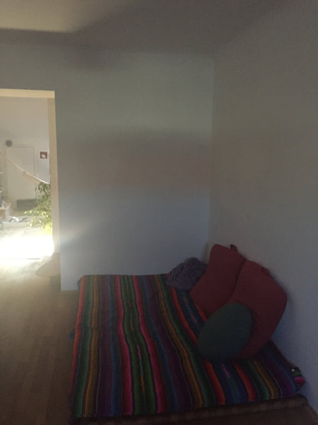 Im Dachgeschoss befindet sich unsere neu-renovierte schöne Wohnung. Der Augarten Vienna, Austria Appartment near Wallensteinplatz Entire rental unit vacation rental 2288910