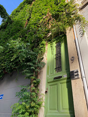 Cosy studio hidden behind Ghent's greenest facade. Fully furnished for a short b Ghent, Belgium Studio Black Cat — Ghent downtown Entire guest suite vacation rental 39495089