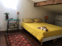 Welcome in the cat's room in the old city center of Bordeaux, near the railway s Bordeaux, France Have good rest in the cat's room ! Private room in rental unit vacation rental 37249358