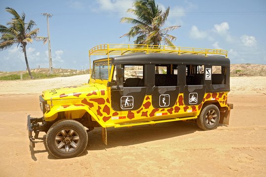 Kite Jeep Tour with Tree Canopy  Private Tours and Travel Guide America Fortaleza CITY Natal Destination Tour