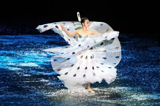 Private Night Tour to Enjoy Dynamic Yunnan Show  Private Tours and Travel Guide Asia Shanghai CITY Kunming Destination Tour