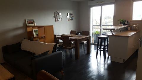 Appartement de 50m2, grande pièce de vie avec cuisine entièrement équipée (four, Bordeaux, France Appartement 50m2, balcon, tram proche gare St Jean Entire rental unit vacation rental 22144261