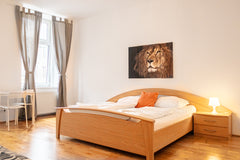 Eine hübsches Zimmer mit Gemeinschaftsbad im Herzen Wiens mitten im Botschaftsvi  Comfortable Room-Perfect for Longstays Private room in rental unit vacation rental 52770342