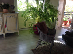 bel  appart à  10mn de  bordeaux<br /> quartier  calme , résidentiel , verdoyant Cenon, France belle suite parentale à 10 mn de bordeux Private room in rental unit vacation rental 20488248