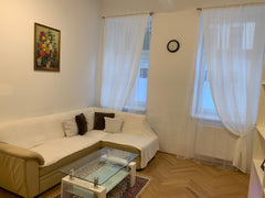   Schloss Schönbrunn Entire rental unit vacation rental 41476601