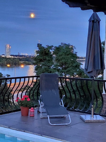 Looking at Danube, on the skirts of Vineyards (Grinzing) a beautiful 90 m2 Flat   best Danube view house with garden Entire rental unit vacation rental 49021161