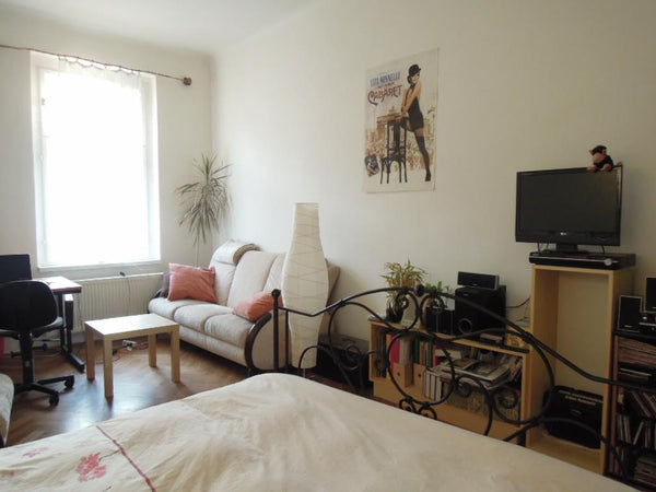 This cozy and renewed one bedroom apartment has the perfect location - just belo Prague, Czechia  Entire rental unit vacation rental 6819262