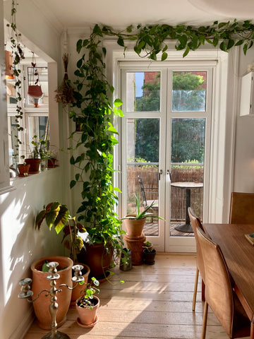 Enjoy our cozy and spacious 80 sqm 3 room apartment full of light, colors and pl Copenhagen, Denmark Spacious jungle apartment with sunny balcony 🌴🌞 Entire condo vacation rental 679263104496240962