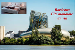To 10 minutes from the center of Bordeaux, this beautiful apartment on the groun  Cozy apartment to Bordeaux Bouscat Entire rental unit vacation rental 11239473