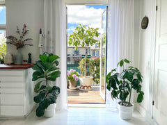 Stay in a lovely appartement with lots of daylight and a large balcony in a calm Copenhagen, Denmark Sunny couple’s hideout ❀ 2km to centre and beach Entire rental unit vacation rental 36294711