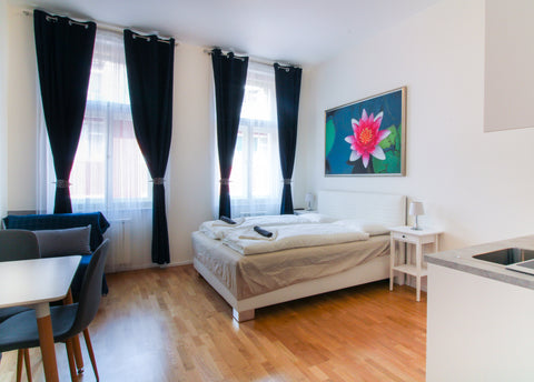 A spacious, bright, and fully furnished apartment in an excellent location in th Prague, Czechia Bouquet  apartment 206 Entire rental unit vacation rental 39566322