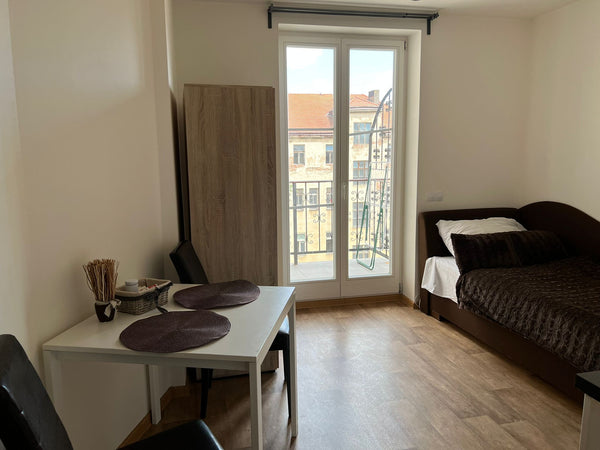 Prague, Czechia Cozy apartment for 1 guest in the centre Entire rental unit vacation rental 646141953350329913