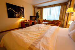 Jsme menší rodinný hotel na Praze 7 . Nabízíme dlouhodobé ubytování v prostornýc  Klidná lokalita u parku Stromovka, nedaleko centra Room in hotel vacation rental 43812315