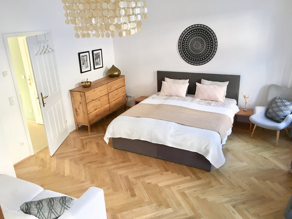 Our quiet & spacious 2-room apartment (58m2) with its very convenient location a Vienna, Austria Vienna Central Entire rental unit vacation rental 29095130