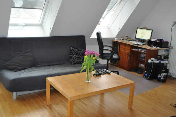 65 m² Wohnung mit einer Dachterrasse (20 m²)<br />Schöne Sicht auf Wiener Innens Vienna, Austria Helle Wohnung mit Dachterrasse Entire rental unit vacation rental 5378286