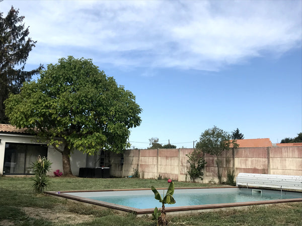 Logement atypique et idéalement situé  aux portes du médoc ( 5km du golf et 3km  Bordeaux, France Adorable maison d'hôte avec piscine bien située Entire guesthouse vacation rental 9076323