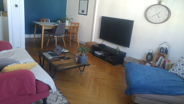 Bel appartement de 54 m2 avec alcôve et balcon proche de toutes commodités (en f Lyon, France Appartement cosy 54m2 à proximité du centre ville Entire rental unit vacation rental 17824437