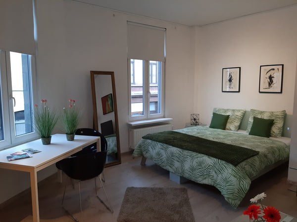 The accomodation is very near (5 min by walking) to Dampoort  train & bus statio  The Green Room Private room in home vacation rental 39055847