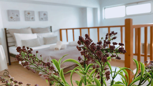 With 200+ positive reviews you can't be wrong.  <br />Live like a local at an ur Greece Zacharias · Beautiful maisonette, beach and city center Entire rental unit vacation rental 22338058