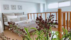 With 200+ positive reviews you can't be wrong.  <br />Live like a local at an ur Greece Zacharias · Beautiful maisonette, beach and city center Entire rental unit vacation rental 22338058
