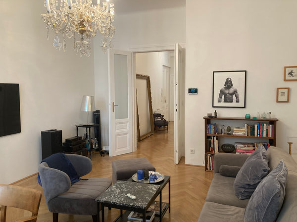 Spacious apartement in middle of hip Neubau District with Bars, art galleries, r Vienna, Austria City comfort in the  middle of hip Neubau District Entire rental unit vacation rental 660442325388939727